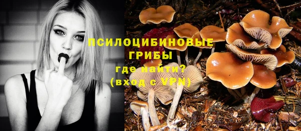 каннабис Алексеевка