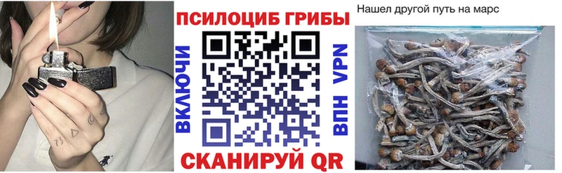 Галлюциногенные грибы Psilocybine cubensis  darknet как зайти  Петрозаводск 